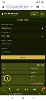 Screenshot_2024-03-27-01-24-18-846_com.android.chrome.jpg