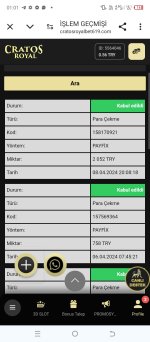 Screenshot_20240409-010121.jpg