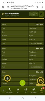 Screenshot_20240411_201131_Chrome.jpg