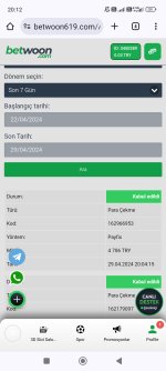 Screenshot_2024-04-29-20-12-42-255_com.android.chrome.jpg