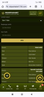 Screenshot_2024-04-29-20-12-33-034_com.android.chrome.jpg