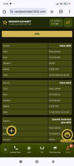 Screenshot_2024-05-20-03-45-29-080_com.android.chrome.jpg