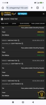 Screenshot_2024-06-03-11-47-00-969_com.android.chrome.jpg