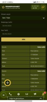 Screenshot_2024-06-06-20-57-14-331_com.android.chrome.jpg