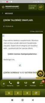 Screenshot_2024-06-13-22-18-53-344_com.sumobrowser.app.jpg