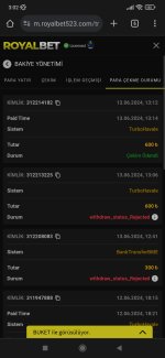 Screenshot_2024-06-14-03-02-25-385_com.android.chrome.jpg