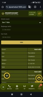 Screenshot_2024-06-28-11-28-07-177_com.android.chrome.jpg