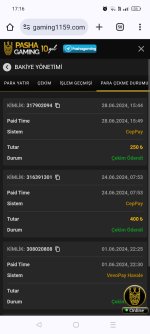 Screenshot_2024-06-28-17-16-10-03_40deb401b9ffe8e1df2f1cc5ba480b12.jpg