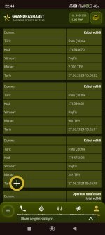 Screenshot_2024-06-29-22-44-58-141_com.android.chrome.jpg