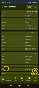 Screenshot_2024-06-30-01-47-33-717_com.android.chrome.jpg
