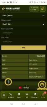 Screenshot_20240630-234104.jpg