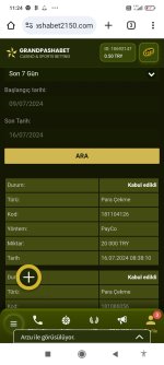 Screenshot_2024-07-16-11-24-17-385_com.android.chrome.jpg