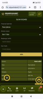 Screenshot_2024-07-17-16-45-30-123_com.android.chrome.jpg