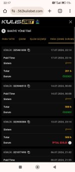 Screenshot_2024-07-17-22-17-15-666_com.android.chrome.jpg
