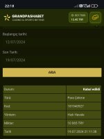 Screenshot_2024-07-19-22-18-21-439_com.android.chrome-edit.jpg