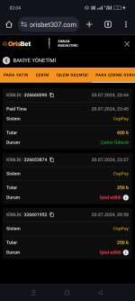Screenshot_2024-07-21-02-04-17-22_40deb401b9ffe8e1df2f1cc5ba480b12.jpg