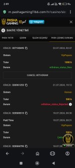 Screenshot_2024-07-22-02-49-38-316_com.opera.browser.jpg