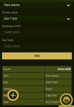 Screenshot_2024-07-25-12-16-28-24_40deb401b9ffe8e1df2f1cc5ba480b12.jpg