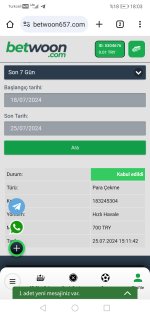 Screenshot_20240725_180334_com.android.chrome.jpg