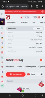 Screenshot_20240727-161203_Chrome.jpg