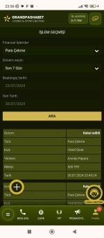 Screenshot_2024-07-30-23-56-24-950_com.android.chrome.jpg