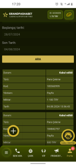 Screenshot_20240804-172034.png