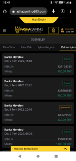 Screenshot_20220709-154145.png