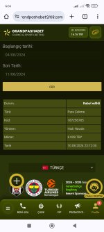 Screenshot_2024-08-11-19-50-46-317_com.android.chrome.jpg