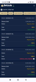 Screenshot_2024-08-12-15-03-17-393_com.android.chrome.jpg
