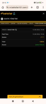 Screenshot_2024-08-13-23-12-10-335_com.android.chrome.jpg