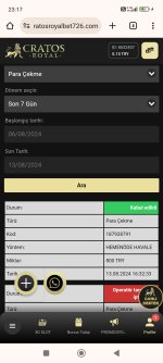 Screenshot_2024-08-13-23-17-26-508_com.android.chrome.jpg