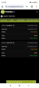 Screenshot_2024-08-13-23-06-58-697_com.android.chrome.jpg