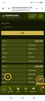 Screenshot_20240814-182611.png