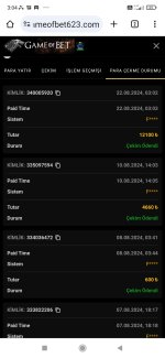 Screenshot_2024-08-22-03-04-04-845_com.android.chrome.jpg