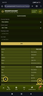 Screenshot_2024-08-31-13-17-08-770_com.android.chrome.jpg