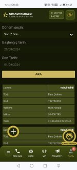 Screenshot_20240901_003849_com_android_chrome_ChromeTabbedActivity.jpg