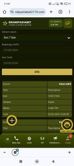Screenshot_2024-09-03-17-01-10-186_com.android.chrome.jpg