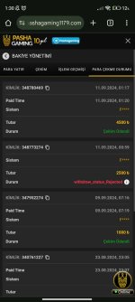 Screenshot_2024-09-11-01-30-49-757_com.android.chrome.jpg