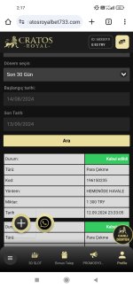 Screenshot_2024-09-13-02-17-13-589_com.android.chrome.jpg