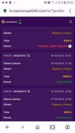 Screenshot_20240913-204350_Opera.jpg