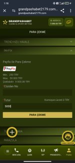 Screenshot_2024-09-20-01-18-26-914_com.android.chrome.jpg