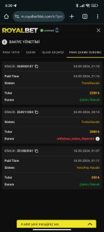 Screenshot_2024-09-25-00-39-59-579_com.android.chrome.jpg