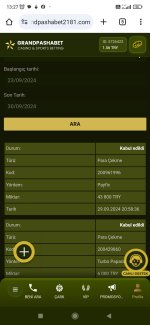 Screenshot_2024-09-30-13-27-02-662_com.android.chrome.jpg