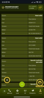 Screenshot_2024-10-08-22-52-52-197_com.android.chrome.jpg