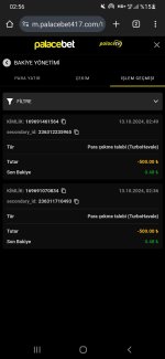 Screenshot_20241013-025625_Chrome.jpg