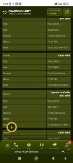 Screenshot_2024-10-15-00-53-40-104_com.android.chrome.jpg