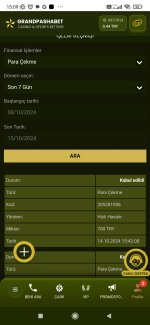 Screenshot_2024-10-15-15-09-44-753_com.android.chrome.jpg