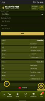 Screenshot_20241017-175222.png