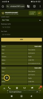 Screenshot_2024-10-23-04-43-54-856_com.android.chrome.jpg