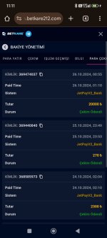 Screenshot_2024-10-26-11-11-19-014_com.android.chrome.jpg